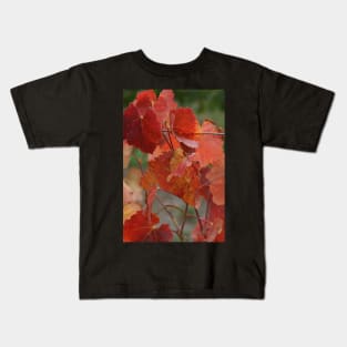 Autumnal Vine Leaves by Avril Thomas Kids T-Shirt